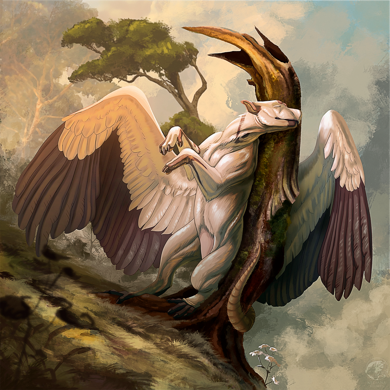 Warm Afternoon -TRADE-